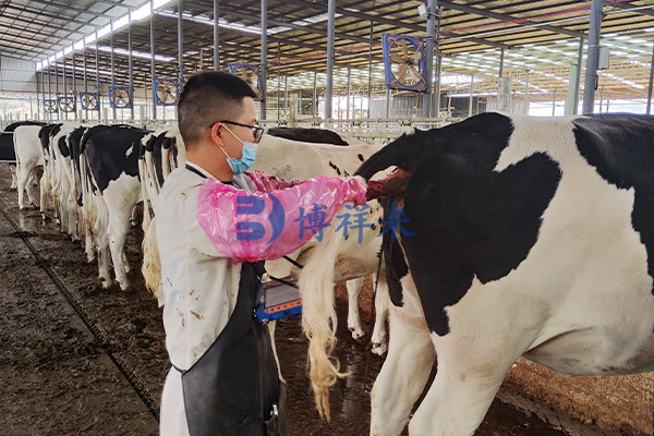 獸用B超機(jī)對(duì)牛場(chǎng)的用途